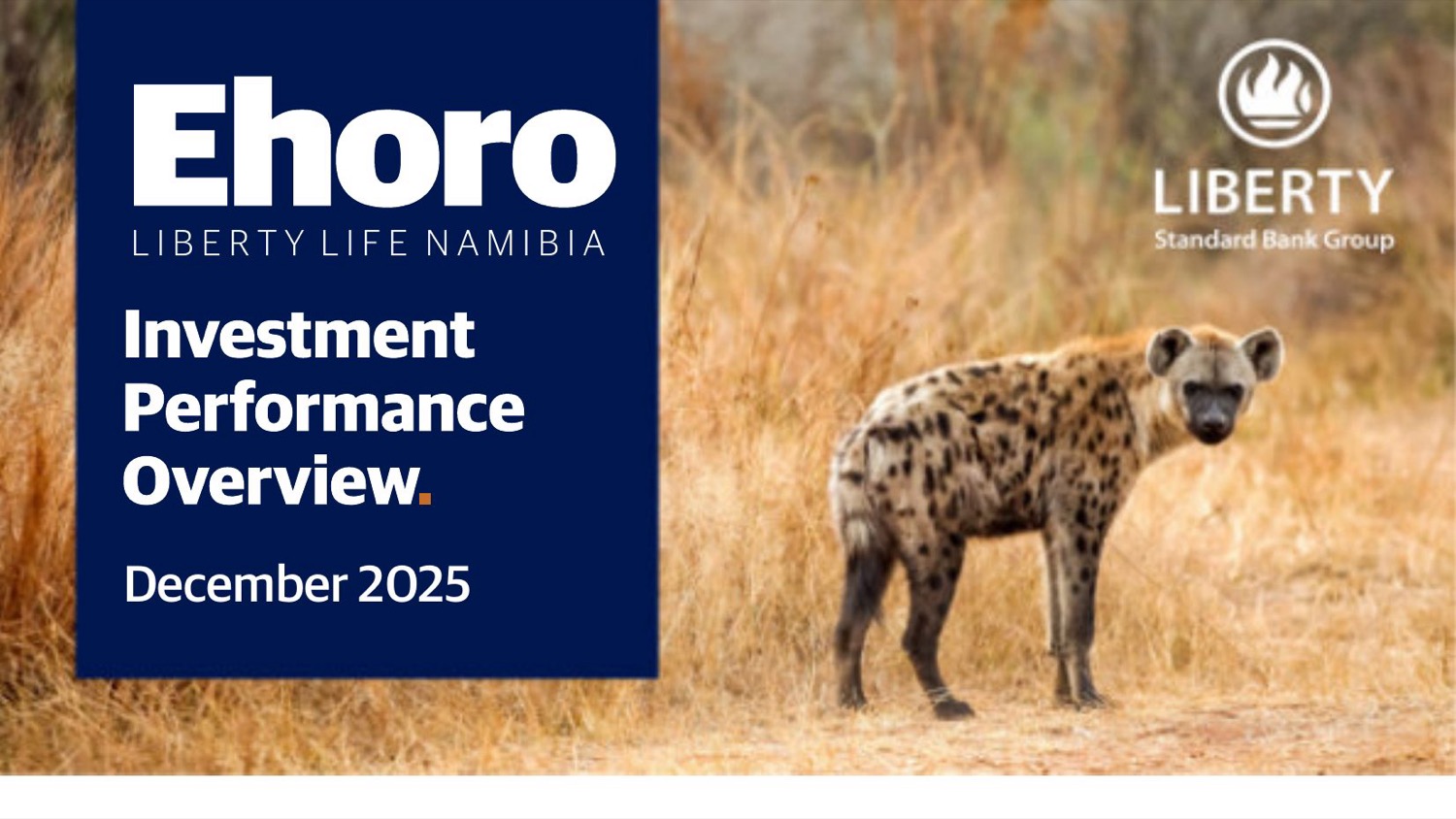 Ehoro Investment Performance Overview — December 2025